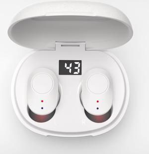Hearing Amplifier Aid Rechargeable Digital Simulation Personal Sound Amplifier Devices ITE for Seniors,Inner-Ear Hearing aid,2-Pack + Charging Box (Black) White-Pair
