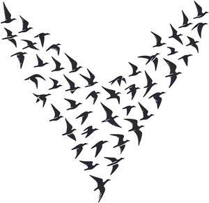 Bird Birds Temporary Tattoos Unique Tattoo Hands Party Favors For Kids Fake Face Tattoos 6 Pcs3.7 x 3.7 inches