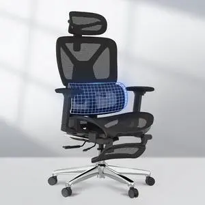 ErgoX Premium Ergonomic Office Chair with Footrest- Adjustable 3D Armrests, Dynamic Lumbar Support, Recline & Tilt Function, Mesh Seat, for Home & Office Use,Black