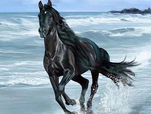 Galloping Horse Paint By Numbers (50x40cm No Frame)