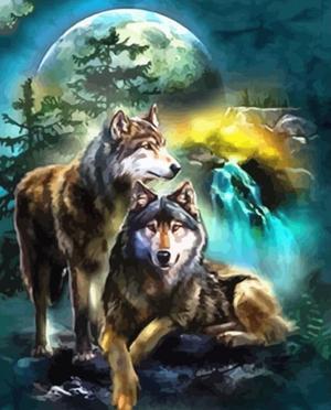 Wolves Paint by Numbers (40x50cm no frame)