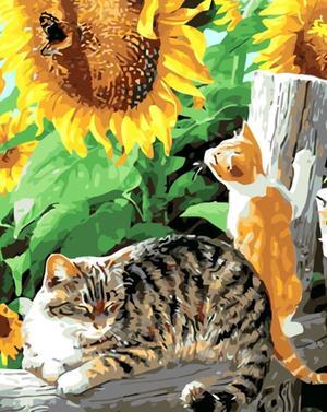 Cat Sunflower Paint by Numbers (40x50cm no frame)
