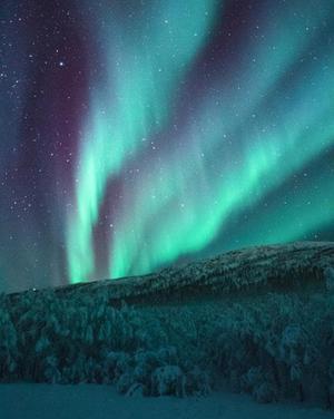 Aurora Paint By Numbers (40x50cm No Frame)
