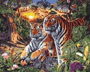 Tigers Paint By Numbers (40x50cm No Frame)