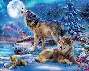 Wolves Moon Paint By Numbers (40x50cm No Frame)