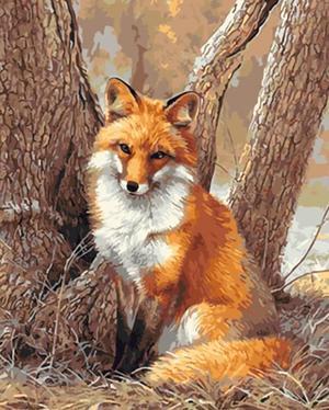 Fox Paint By Numbers (40x50cm No Frame)