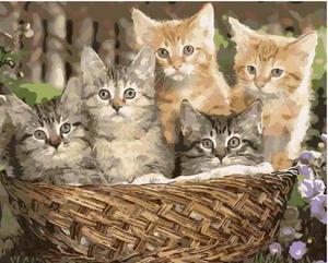 Kittens in Basket Paint By Numbers (30x40cm No Frame)