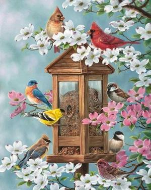 Birds Nest Paint By Numbers (30x40cm No Frame)