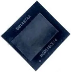 10pack Antminer BM1487AA ASIC Chip for L5