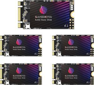 Gamerking SSD M.2 2242 64GB High Performance Internal Solid State Drive for Desktop Laptop 5 Unit Package Pack [64GB(5 Packs),M.2 2242]