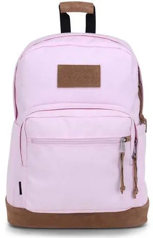 JanSport Right Pack Premium Backpack - Durable Daypack with Padded 15" Laptop Sleeve, Spacious Main Compartment & Integrated Water Bottle Pocket, Pink Ice