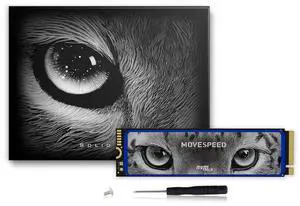 MOVE SPEED HB7450 1TB SSD for PS5 with Heatsink, PCIe 4.0 NVMe M.2 Internal Solid State Drive - Up to 7450MB/s, 3D NAND Storage Expansion Compatible with PS5, Desktops and Laptops