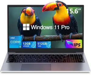 Gaming laptop,Laptop,12GB DDR4 NVMe 512GB SSD,Core i3-1000NG4 2 Cores 4 Threads (Up to 3.2GHz) Processor,15.6" FHD Display 1920X1080 IPS 180deg Vieing Angle,Aluminum Body,With WiFi/BT,Backlit Keyboard