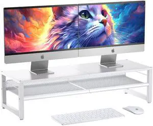 ECOLOVI Desk Organizers and Accessories, Dual Monitor Stand Riser for Desk Organizer, Computer Stand Desk Accessories Workspace Desktop Organizer for Laptop, PC, Computer, White