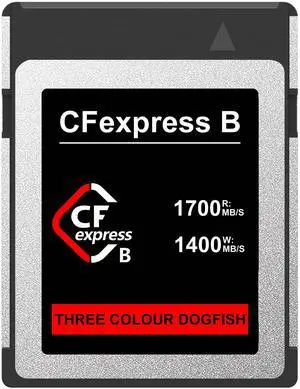 Dogfish 2TB CFexpress Type B Card, Up to 1700MB/s, 8K 4K RAW Photo and Video, CF Express Flash Memory for Nikon Canon Panasonic Cameras Camcorders