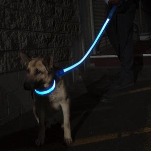 MASBRILL LED Dog Collars Flashing Light Up Dog Collar Rechargeable and  Safety Night Glowing Dog Collar for Small Medium Large Dogs Blue-S 