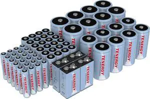 Tenergy AA AAA C D 9V Battery, NiMH Rechargeable Batteries Combo, 68 Pack, 24 Pack AA Cells, 24 Pack AAA Cells, 8 Pack C Cells, 8 Pack D Cells and 4 Pack 9V Batteries