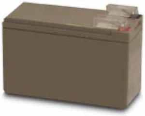 EATON 106711160-001 Powerware - UPS battery - 1 x lead acid