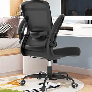 Office Chair, Ergonomic Desk Chair with Adjustable Lumbar Support, High Back Mesh Computer Chair with Flip-up Armrests-BIFMA Passed Task Chairs, Executive Chair for Home Office Office Chair, Ergonomic Desk Chair with Adjustable Lumbar Support, High Back Mesh Computer Chair with Flip-up Armrests-BIFMA Passed Task Chairs, Executive Chair for Home Office
