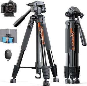 75" Camera Tripod for Canon Nikon Cell Phone Tall Tripod with Wireless Remote Travel Bag Phone Tablet Holder Compatible with DSLR Cameras, Cell Phones, Projector, Binocular, Spotting Scopes