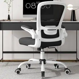 Office Chair, Ergonomic Desk Chair with Adjustable Lumbar Support & Seat Height, High Back Mesh Computer Chair with Flip-up Armrests-BIFMA Passed Task Chairs for Home Office (Modern, White)