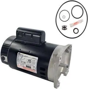 Pentair SuperFlo .75HP 340037 Replacement Motor Kit AO Smith B2852 w/GO-KIT-78