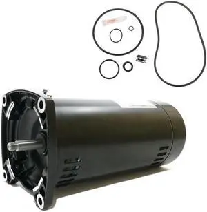 Sta-Rite Max-E-Pro 1HP P6RA6E-205L Repl Motor Kit AO Smith USQ1102 w / GO-KIT-79