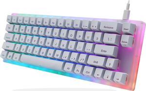 Womier K66 60 Mechanical Keyboard Hot Swappable Wired RGB Backlit Keyboard Gateron Switch Acrylic Gaming Keyboard for PC PS4 Xbox Blue SwitchWhite