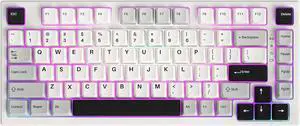 75% Hot Swappable Wireless Gaming Mechanical Keyboard, RGB Backlights, BT5.0/2.4G/USB-C, Dye Sub PBT Keycaps for Linux/Win/Mac(Gateron G Pro Yellow, Grey White)