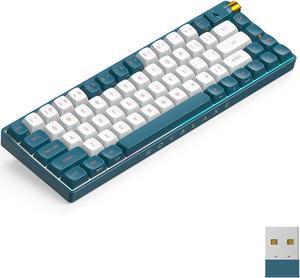 67 Keys TKL Mechanical Keyboard, Hot Swappable Wired/Bluetooth 5.0/2.4G Wireless Keyboard with RGB Light for Windows & Mac, PBT Keycaps, TTC Gold Pink V2 Switch, Whale Blue