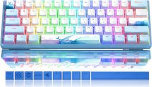 60 Percent Keyboard Mechanical RGB Wired Gaming Keyboard HotSwappable Blue Ice Whale Keyboard with PBT Keycaps for Windows PC Gamers  Linear Red Switch