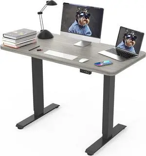 Electric Height Adjustable Standing Desk, Light Wood Whole Piece 48 x 24 Inches Sit Stand Up Desk with Memory Controller, Quick Assembly Standing Workstation for Home Office - Grey