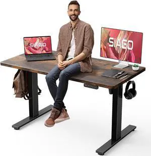 Electric Standing Desk Adjustable - 48 x 24 Inch Sit Stand up Desk with Cable Management - 3 Memory Preset Adjustable Height Desk Computer Home Office Desk