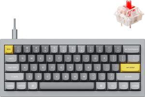 Wired Custom Mechanical Keyboard, QMK/VIA Programmable Macro, Full Aluminum, Hot-Swappable Gateron G Pro Red Switch, 60% Layout Double Gasket Compatible with Mac and Windows - Gray