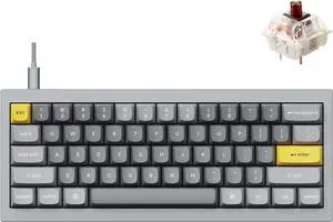 Wired Custom Mechanical Keyboard, QMK/VIA Programmable Macro, Full Aluminum, Hot-Swappable Gateron G Pro Brown Switch, 60% Layout Double Gasket Compatible with Mac and Windows - Gray