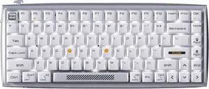 Wireless Mechanical Keyboard, 84-Key 75% Layout, Connect up to 3 Devices via Bluetooth/2.4G Wireless for Mac Windows Linux, LED Backlit & N-Key Rollover, Tactile Brown Switch, Silver White