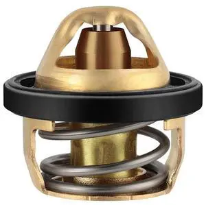 Yassdwbn 3084940, 3090049 Thermostat For Polaris Sportsman 400 450 500 Xpedition 325 425 Yassdwbn 3084940, 3090049 Thermostat For Polaris Sportsman 400 450 500 Xpedition 325 425