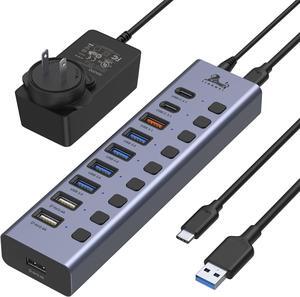 Powered USB 3.1Hub, 10-Port USB Data Hub Splitter with 3 USB 3.1(10Gbps), 4 USB 3.0, 3 Charging Ports, Individual ON/Off Switches and 12V/5A DC Power Adapter, USB C Hub for Laptops and Computer