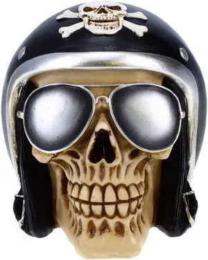 Skull with Glasses and Helmet