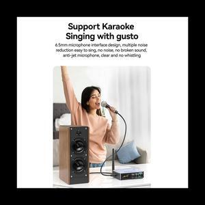 Tebe NFC Bluetooth 5.1 Audio Receiver Transmitter Coaxial RCA Wireless Bass Treble Music Adapter FM Radio(M9 Pro)