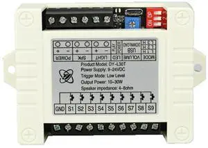 30W MP3 Voice Playback Module DY-L30T 9 Trigger Music Player Power Amplifier Board TF Card 32G Max WAV DC 12V 24V MP3 B-AB01