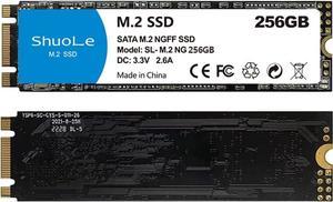 M.2 NGFF SSD 1TB/512GB/256GB/128GB High Speed Solid State Drives for Laptop Desktop Server POS Machine (256GB)