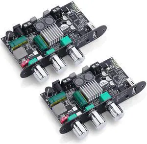2-Pack ZK-1001U Bluetooth 5.3 Mono Amplifier Board with TWS and Boost Circuit, Mini Audio Amplifier for Home Outdoor DIY Speakers with 100W Power Output, Treble and Bass, USB/AUX/BT Input, DC 9-24V