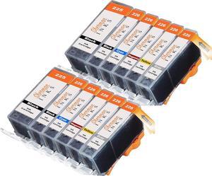 Sherman Replacement Ink Cartridge 12 Pack with Gray CLI-226 226 PGI-225 225 for Printer: Canon PIXMA MG6120 PIXMA MG6220 PIXMA MG8120 PIXMA MG8120B PIXMA MG8220