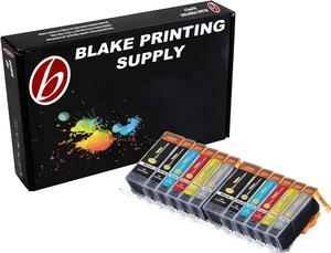 Blake Printing Supply Ink Cartridge for Inkjet Printer, 12-Pack (2 Small Black, 2 Cyan, 2 Gray, 2 Magenta, 2 Yellow, 2 Big Black)