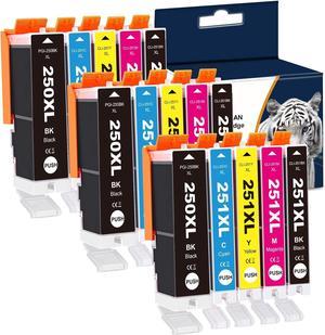 Ouguan Ink Compatible 15 Pack Ink Cartridges for CANON PGI-250 CLI-251 Pixma MG5620 MG6620 MG7520 MG6622 MG5622 MX920