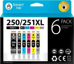 Smart Ink Compatible Ink Cartridge Replacement for Canon PIXMA CLI-251XL PGI-250XL PGI 250 CLI 251 ( 1PGBK & 1BK/C/M/Y/GY 6 Combo Pack ) to use with iP8720 MG6320 MG7120 MG7520