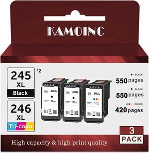 245 246 XL Ink Cartridge Replacement for Canon Ink Cartridge 245 and 246 PG-245 243 PG-243 Compatible with Canon Printer MG2525 MG2420 MG2920 MG3020 mx490 MX492 TR4520 TS3120 TS202 (2B1C)