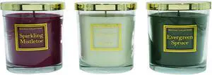 Scented Wax Candles, Holiday Home Collection - Set of 3