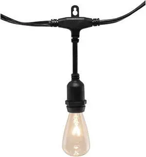 Electric Commercial Grade String Lights with 12 Edison Bulbs